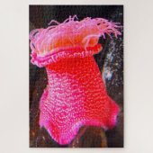 Zeeanemonen Legpuzzel (Verticaal)