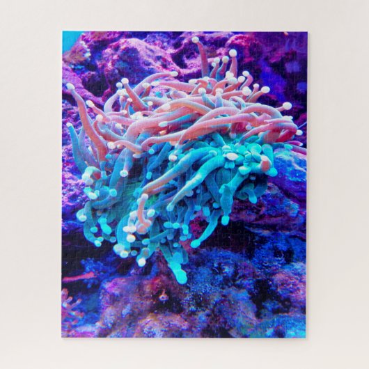 Zeeanemonen Legpuzzel (Verticaal)