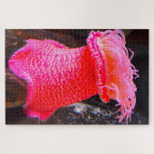 Zeeanemonen Legpuzzel (Horizontaal)
