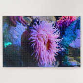 Zeeanemonen. Legpuzzel (Horizontaal)