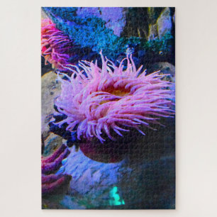 Zeeanemonen. Legpuzzel