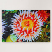 Zeeanemonen Legpuzzel (Horizontaal)