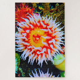 Zeeanemonen Legpuzzel