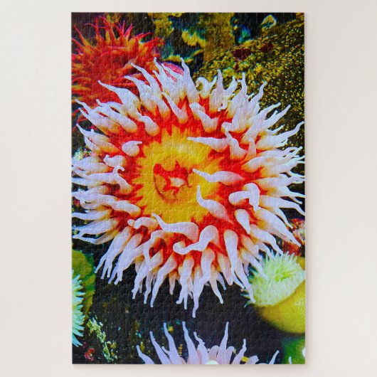 Zeeanemonen Legpuzzel (Verticaal)