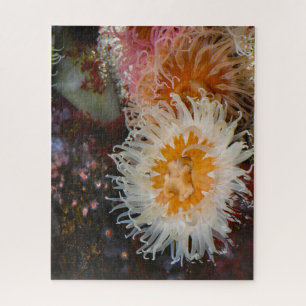 Zeeanemonen. Legpuzzel