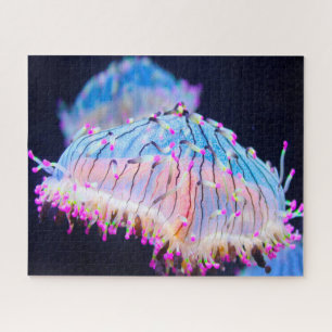 Zeeanemonen Legpuzzel