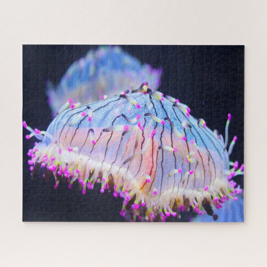 Zeeanemonen Legpuzzel (Horizontaal)