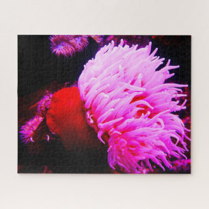 Zeeanemonen Legpuzzel