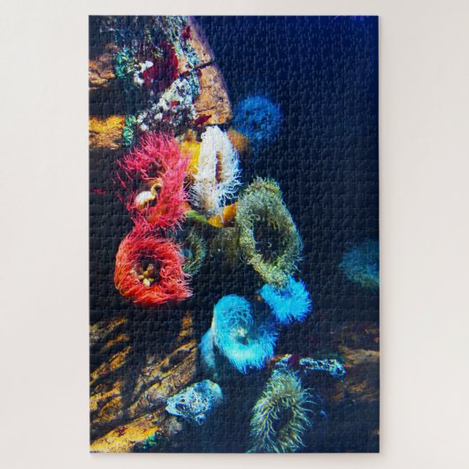 Zeeanemonen. Legpuzzel (Verticaal)