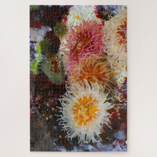 Zeeanemonen. Legpuzzel