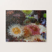 Zeeanemonen. Legpuzzel (Horizontaal)