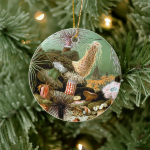 Zeeanemonen Marien Leven, Vintage Oceandieren Keramisch Ornament