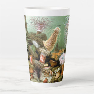 Zeeanemonen Marien Leven, Vintage Oceandieren Latte Mok