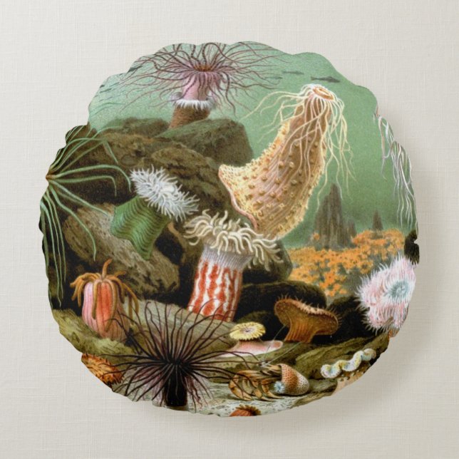 Zeeanemonen Marien Leven, Vintage Oceandieren Rond Kussen (Voorkant)