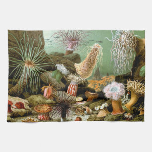 Zeeanemonen Marien Leven, Vintage Oceandieren Theedoek
