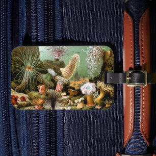 Zeeanemonen Mariene Levens, Vintage Oceandieren Bagagelabel