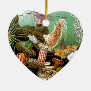 Zeeanemonen onderwater scène keramisch ornament