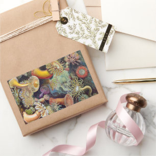 Zeeanemonen, Vintage Actiniae door Ernst Haeckel Rechthoekige Sticker