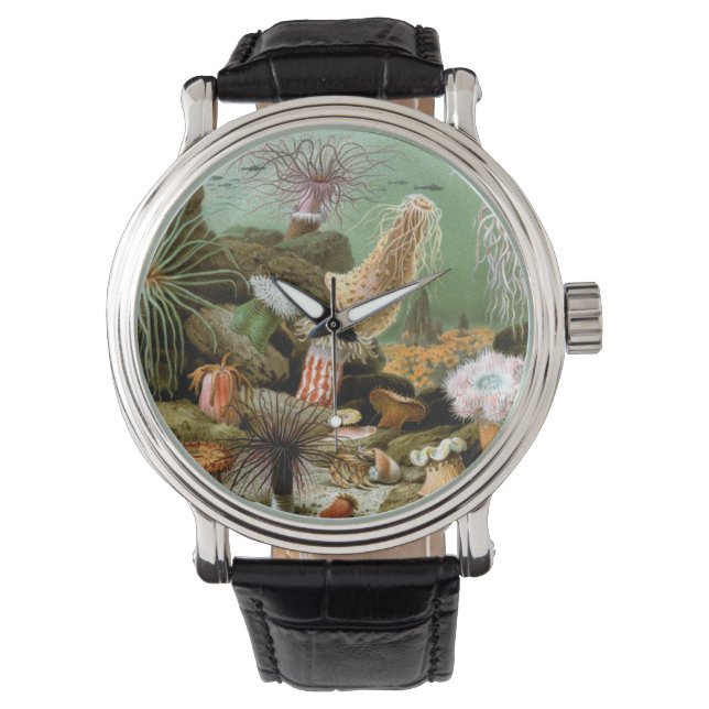 Zeeanemonen, Vintage Zeeleven Oceandieren Horloge (Voorkant)