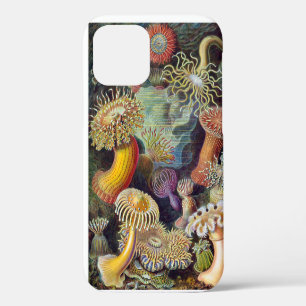 Zeeanemoon Wetenschappelijke Natuur Oceaan Case-Mate iPhone Case