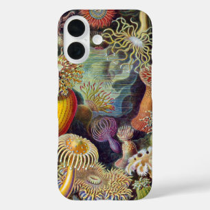 Zeeanemoon Wetenschappelijke Natuur Oceaan iPhone 16 Hoesje