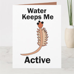 Zeeapen Pekelkreeftjes Water Houdt Me Actief Kaart