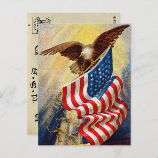  zeearend briefkaart (Voorkant / Achterkant)