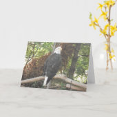 “Zeearend” condoleancekaart Kaart (Gele Bloem)