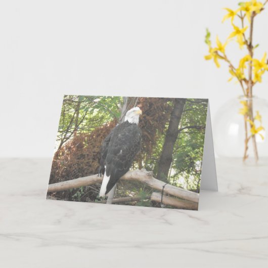 “Zeearend” condoleancekaart Kaart (Gele Bloem)