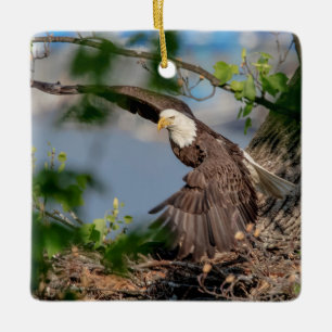 Zeearend die het nest verlaat keramisch ornament