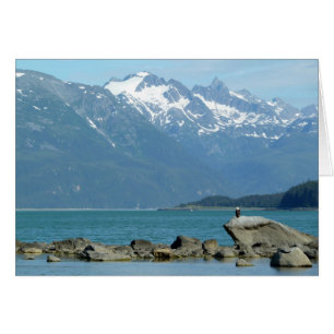 Zeearend in Skagway Alaska