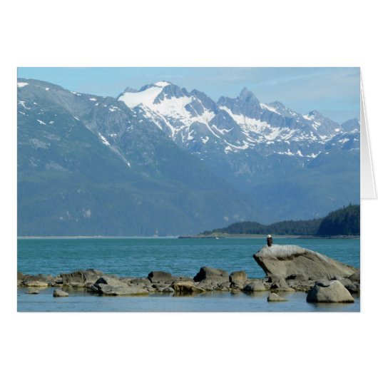 Zeearend in Skagway Alaska (Voorkant Horizontaal)