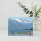 Zeearend in Skagway Alaska Briefkaart (Staand voorkant)