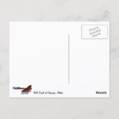 Zeearend in Skagway Alaska Briefkaart (Achterkant)