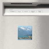 Zeearend in Skagway Alaska Magneet (Insitu (Vaatwasser))