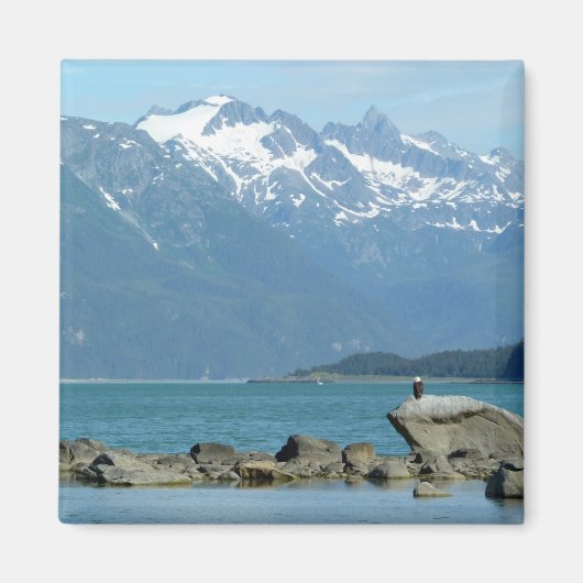 Zeearend in Skagway Alaska Magneet (Voorkant)