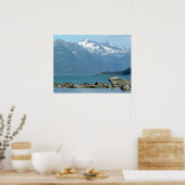 Zeearend in Skagway Alaska Poster (Keuken)