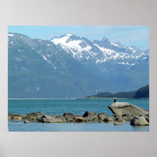 Zeearend in Skagway Alaska Poster (Voorkant)