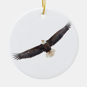 Zeearend in vlucht keramisch ornament