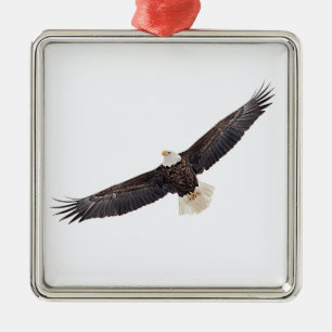 Zeearend in vlucht metalen ornament