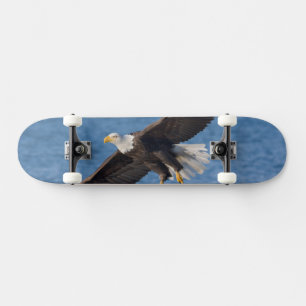 Zeearend in vlucht persoonlijk skateboard