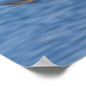 Zeearend in vlucht poster (Hoek)