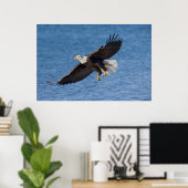 Zeearend in vlucht poster (Thuiskantoor)