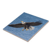 Zeearend in vlucht tegeltje (Zijkant)