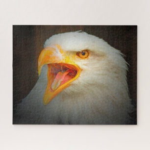 Zeearend. Legpuzzel