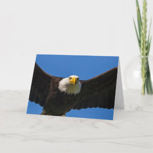 Zeearend vliegt dichtbij kaart