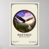 Zeearend Zoölogie Serie Poster (Voorkant)