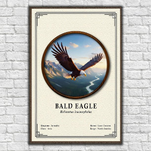 Zeearend Zoölogische Serie Poster
