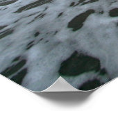 Zeebaars 1 in de Atlantische Oceaan Poster (Hoek)