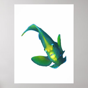 Zeebaars - Abstract ontwerp - Uitgesneden uit een  Poster